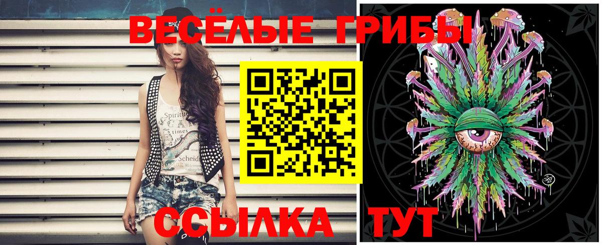 Псилоцибиновые грибы MAGIC MUSHROOMS Братск