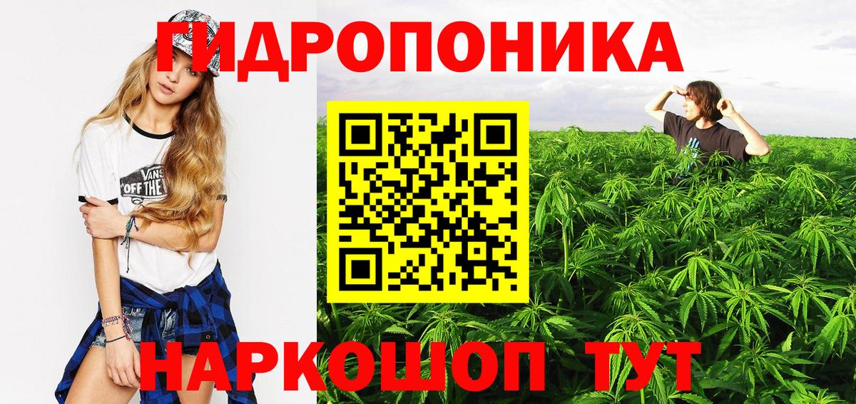 Бошки марихуана гибрид  Каннабис ГИДРОПОН  Каннабис планчик  Братск  Вход с VPN 